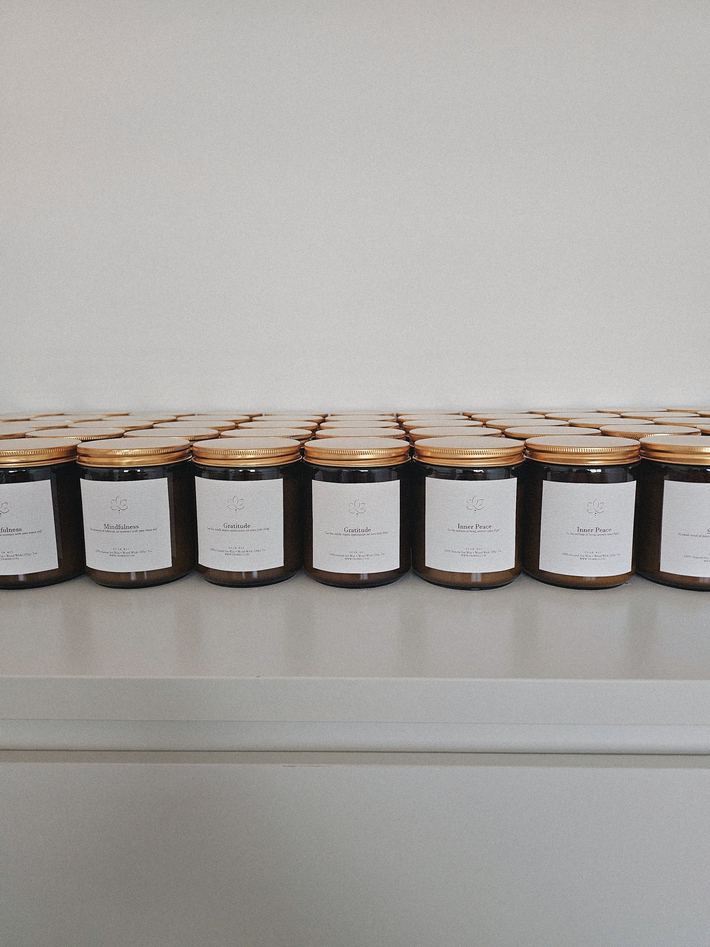 Mindfulness • Wellness Collection