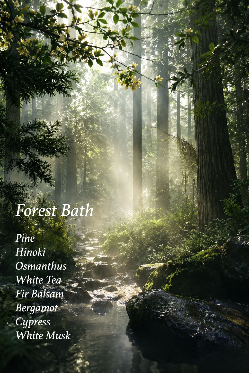 Perfume Oil • Forest Bath