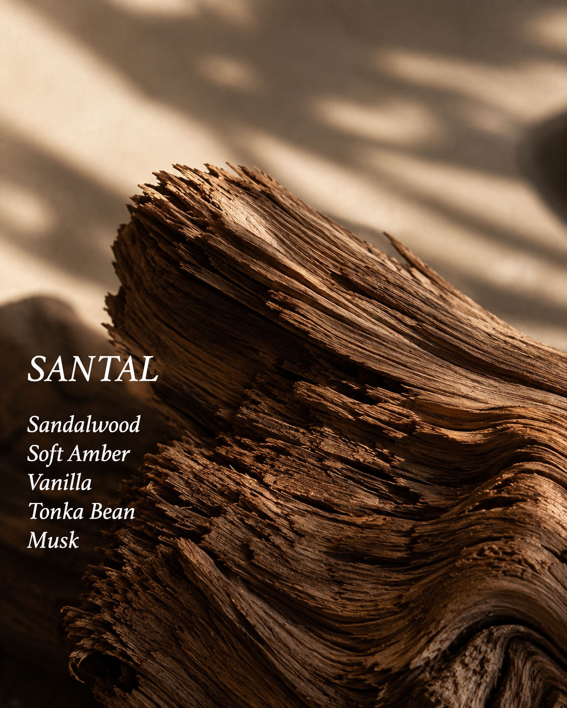 Perfume Oil • Santal